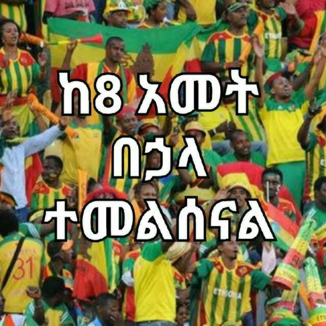ethiopia fans in the stands